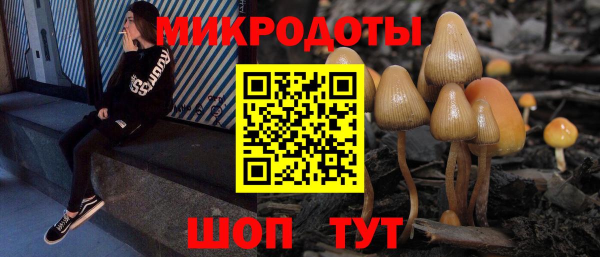 Псилоцибиновые грибы мицелий Сосновоборск