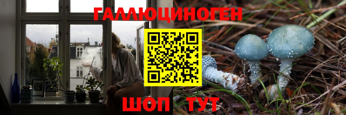 Сосновоборск  Галлюциногенные грибы прущие грибы  Галлюциногенные грибы Psilocybe  Вход с VPN 